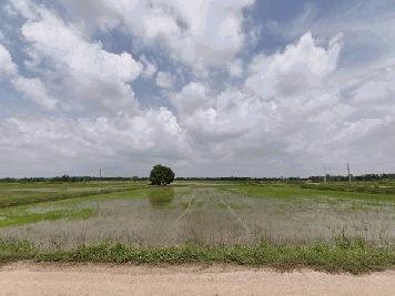 ขายที่ดิน ที่นา พิษณุโลก อำเภอวังทอง 19 ไร่ สวยมาก วิวนาสวย อากาศดี เงียบสงบ โทร 063-2825635
